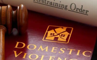 C1A Form: Allegations of Domestic Abuse and Harm